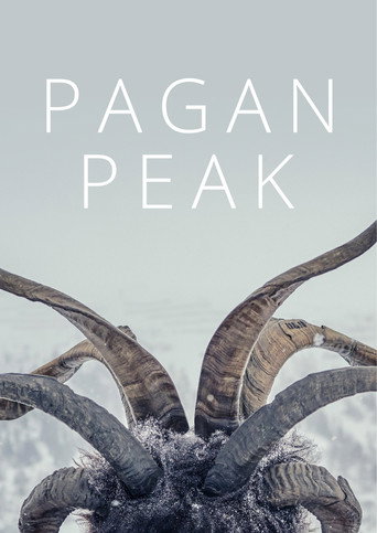 Der Pass (2019) Hindi Season 1 Complete